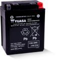 Yuasa YTX14AHL Maintenance Free AGM 12-Volt Battery