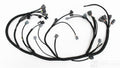 Rywire 92-95 Honda Civic w/B-Series / 94-01 Acura Integra (LHD Only) OEM Replacement Engine Harness