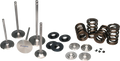 Ferrea BMW N54 Single Spring Kit