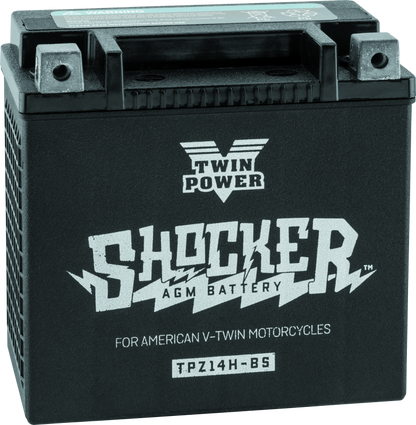 Twin Power YTX-14 Shocker Battery Replaces H-D 65948-00 220 CCA