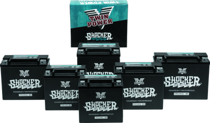 Twin Power YTX-14 Shocker Battery Replaces H-D 65948-00 220 CCA