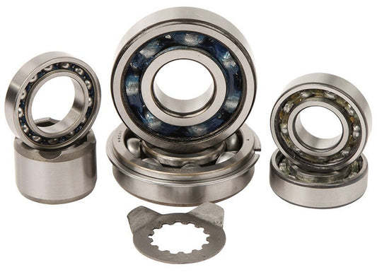 Hot Rods 01-05 YFM 660 R Raptor Transmission Bearing Kit