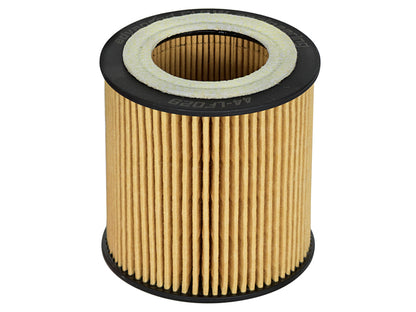 aFe Pro GUARD D2 Oil Filter 06-19 BMW Gas Cars L6-3.0T N54/55 - 4 Pack