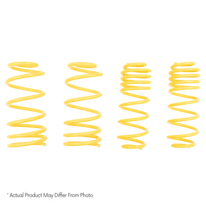 ST Muscle Car Springs Mercury Cougar (GT only)