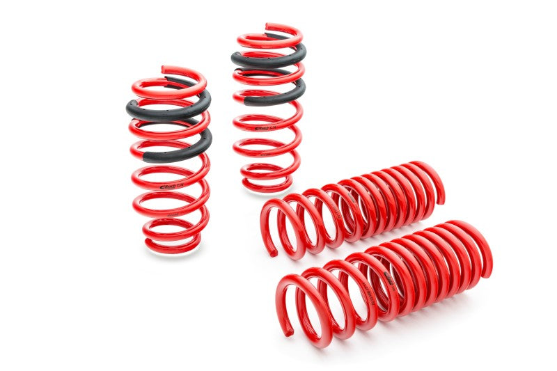 Eibach Sportline Springs for 13-16 BMW F30 320i Precision R