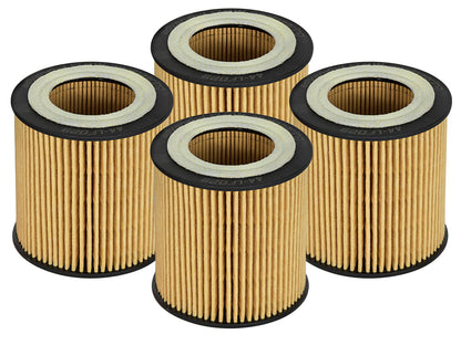 aFe Pro GUARD D2 Oil Filter 06-19 BMW Gas Cars L6-3.0T N54/55 - 4 Pack Precision R