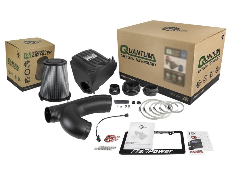 aFe Quantum Pro DRY S Cold Air Intake System 15-18 Ford F150 EcoBoost V6-3.5L/2.7L - Dry Precision R