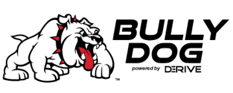 Bully Dog A-pillar Mount GT PMT and WatchDog Dodge Ram 1500-3500 10-11