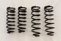 RS-R 01-06 Lexus LS430 (UCF30/31) Down Sus Springs