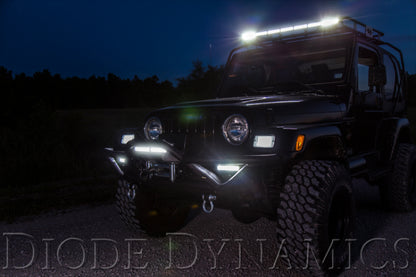 Diode Dynamics 12 In LED Light Bar Single Row Straight Clear Driving (Pair) Stage Series