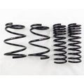 RS-R 12+ Subaru Forester (SJG) Down Sus Springs