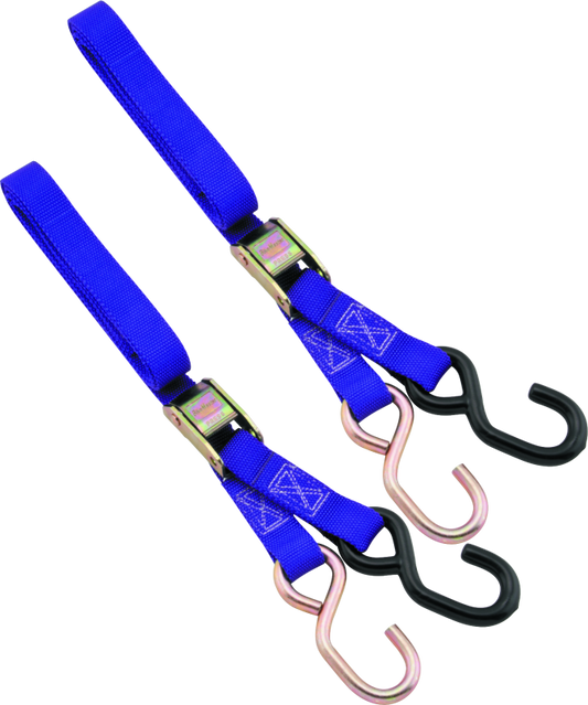 BikeMaster 1in Tiedown - Purple