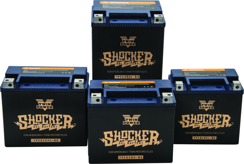 Twin Power YTX-14L Shocker Gel Battery Replaces H-D 65958-04 220 CCA