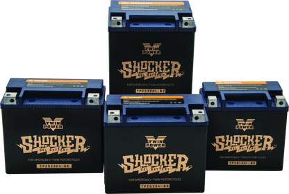 Twin Power YTX-14L Shocker Gel Battery Replaces H-D 65958-04 220 CCA