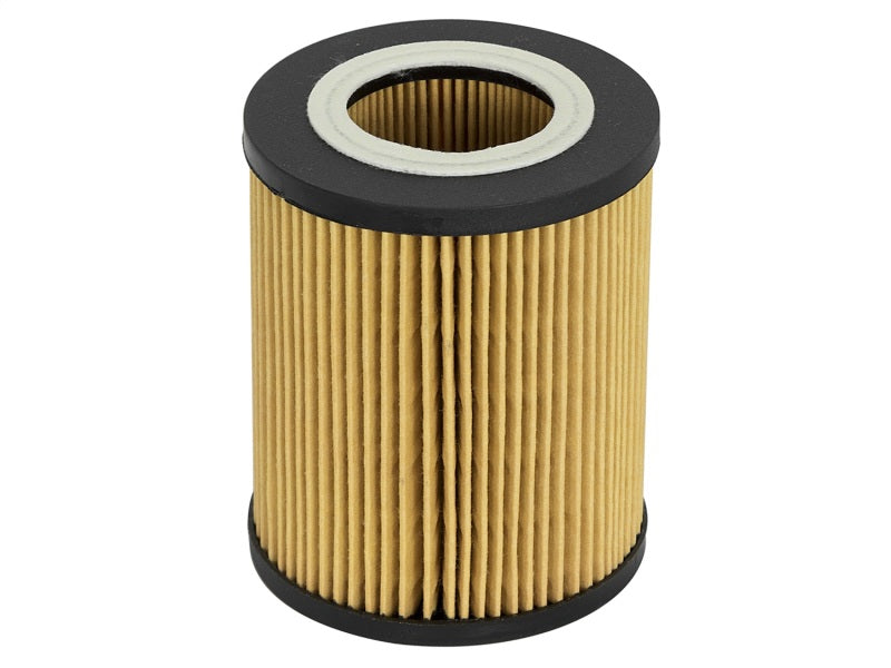 aFe Pro GUARD D2 Oil Filter 96-06 BMW Gas Cars L6 (4 Pack)