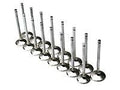 Brian Crower Nissan VQ35DE 38mm Intake Valves